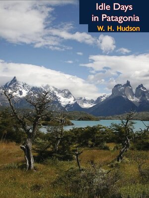 cover image of Idle Days in Patagonia